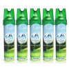 순수산소 산소캔 816ml 5개